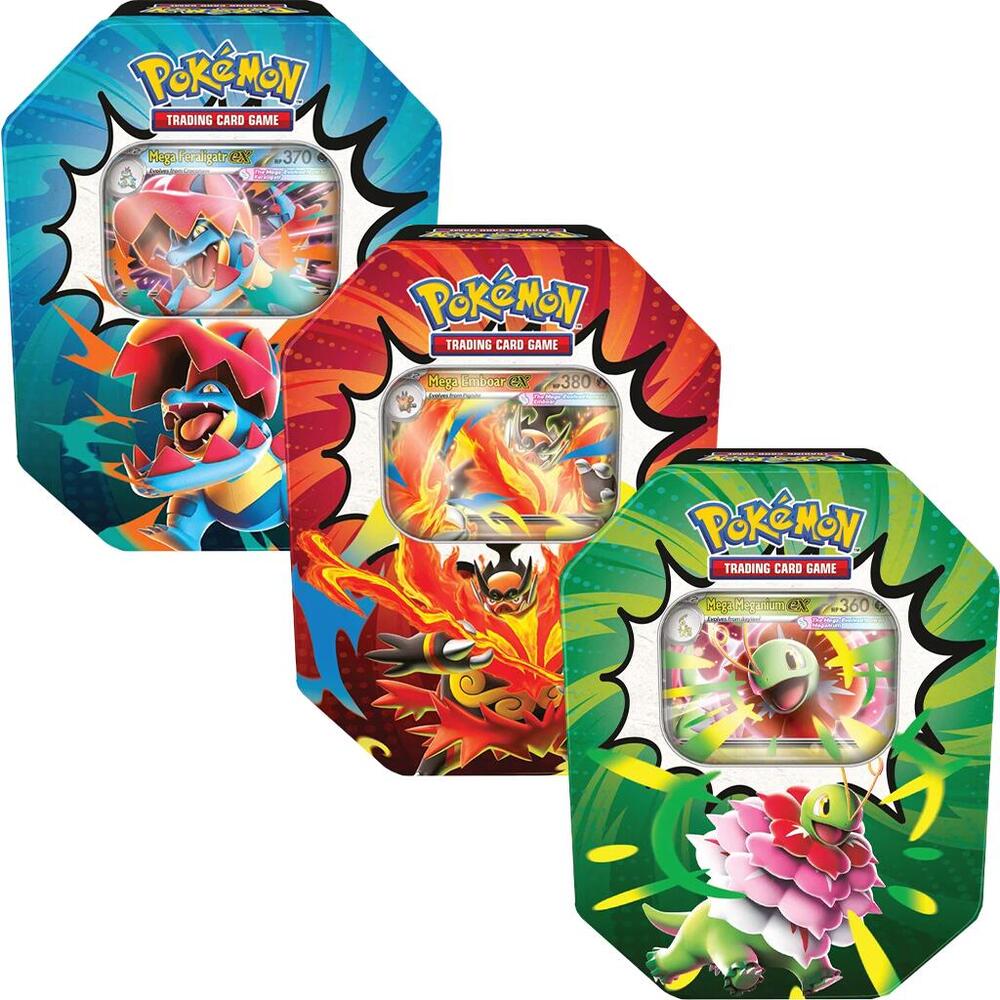 Pokemon Ascended Heroes Tin (1 random)