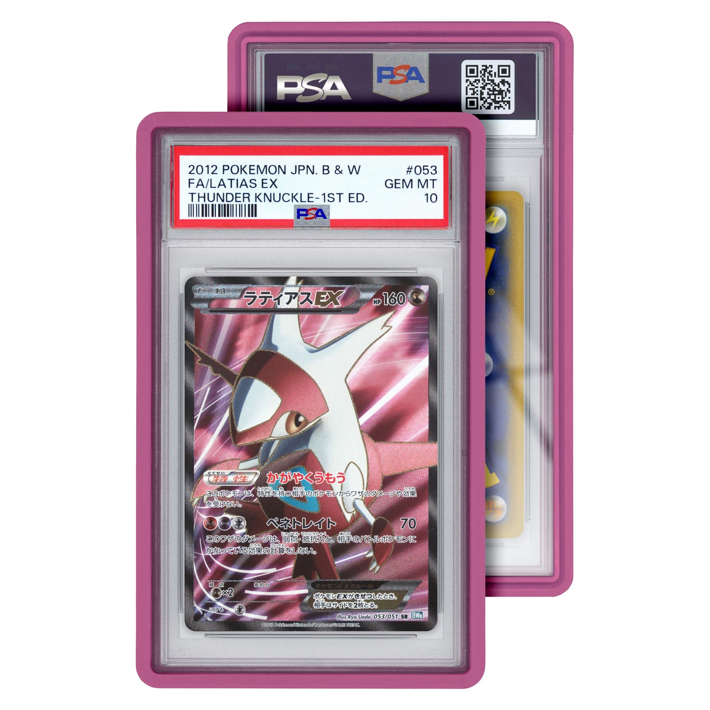 Standard Case (PSA)